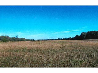 133.8+/- Acre farm in Northwestern White County, IN.  This farm has 105.08 acres of tillable land and some wooded land.  The farm has quality soils and frontage along the Big Monon for good drainage outlet.   - Grain Farm with Some Woods